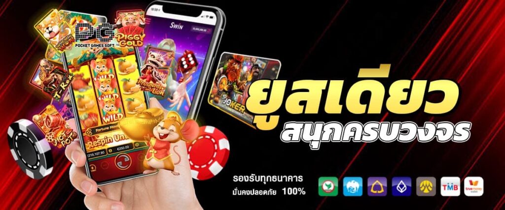 สนุกครบวงจร